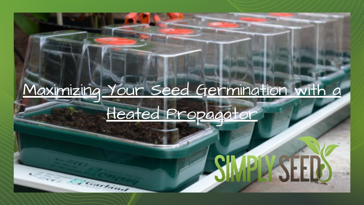 Maximizing Your Seed Germination with a Heated Propagator - Mastering ...
