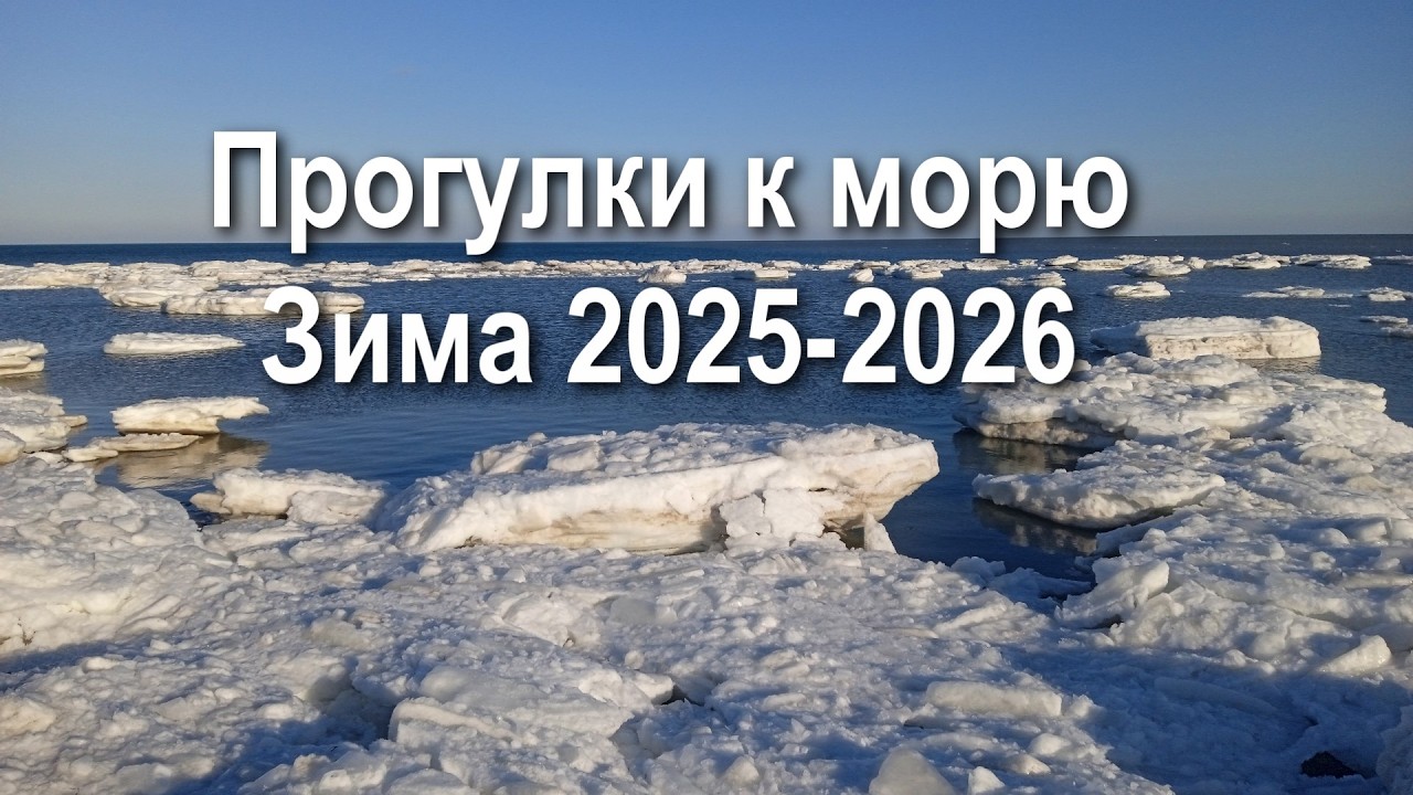 прогулки к морю, зима 2025 2026