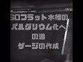 60フラット水槽のパルダリウム化への道（前編）