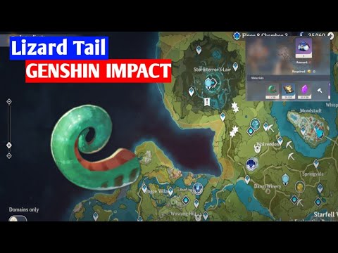 Lizard Tail GENSHIN IMPACT