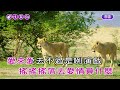 啊哥哥 謝金燕 女Gm調 伴奏 導唱 無live鼓丙 啊哥哥 謝金燕 女Gm調 伴奏 導唱 無live鼓丙