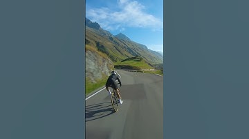 Thumbnail of Road Bikes are Beautiful