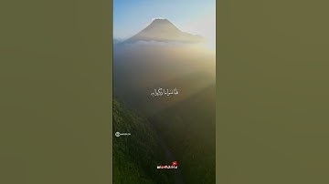 فلما نسوا ما ذكروا به....... تلاوة للشيخ محمود علي البنا من سورة الأنعام #قران_كريم #فلسطين