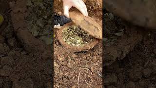 Treasure Find Metal Detectors #metaldetecting #treasurehunt