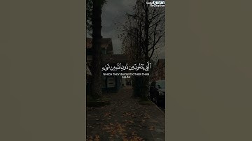تلاوة خاشعة من سورة هود بصوت الشيخ عمير شميم تهز القلوب وتبكي العيون 🌿📖