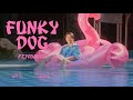 Motley Flower ft. YOUNGGU - FUNKY DOG ( Official Music Video )