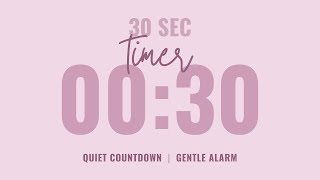 ⌛ 30 Second Quiet Countdown Timer ⏰ Gentle Alarm 💗 Aesthetic Pastel Pink Profile