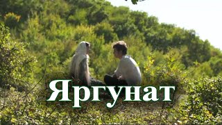 Решад Ибрагьимов: Яргунат