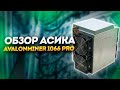 Нужен ли нам AvalonMiner 1066 Pro, если есть Whatsminer M21S?