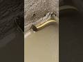 🐍 সাপ ও ইঁদুর একসাথে || #trending #trending #trendingvideo #shortsviral #sneke #theratpack