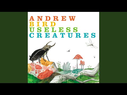Putar Hot Math - Andrew Bird