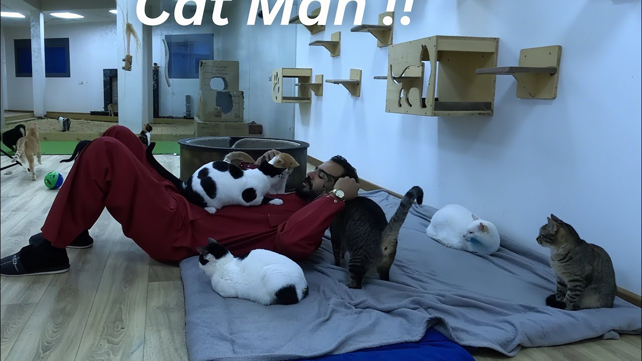 Chelovek, kotoryy obrel svoye schast'ye sredi koshek i v sluzhenii im.