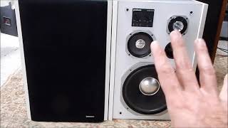 OPINIÃO SINCERA  MASTER 100 GRADIENTE - caixas de som vintage anos 80