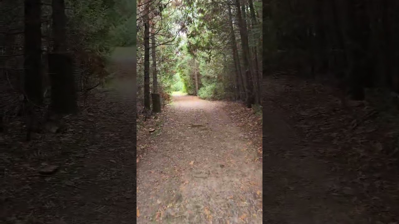 Well trodden #nature #hiking #camping #dayhike #imisssummer #myhappyplace #asmr