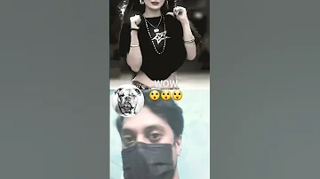 Gata Only Remix Dance That Took Over TikTok Viral Trend Shorts Dance 