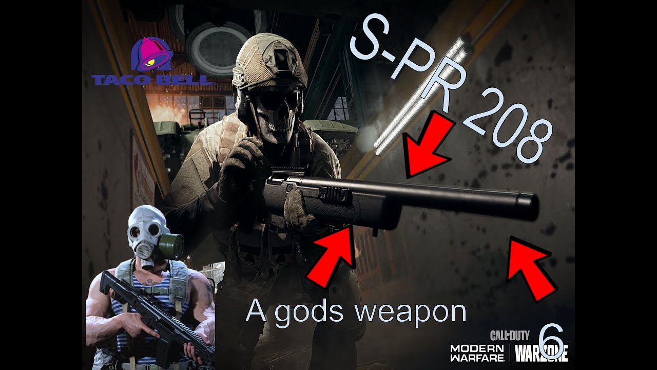 Call of duy, but i love the new S-PR 208 rifles, and i have a platinum ...