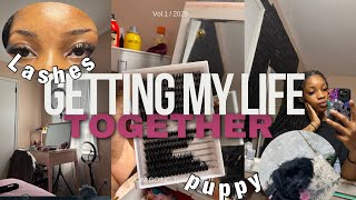 GETTING MY LIFE (back) TOGETHER ★ | Cleaning, lashes, Eyebrows, Puppy,Ect.