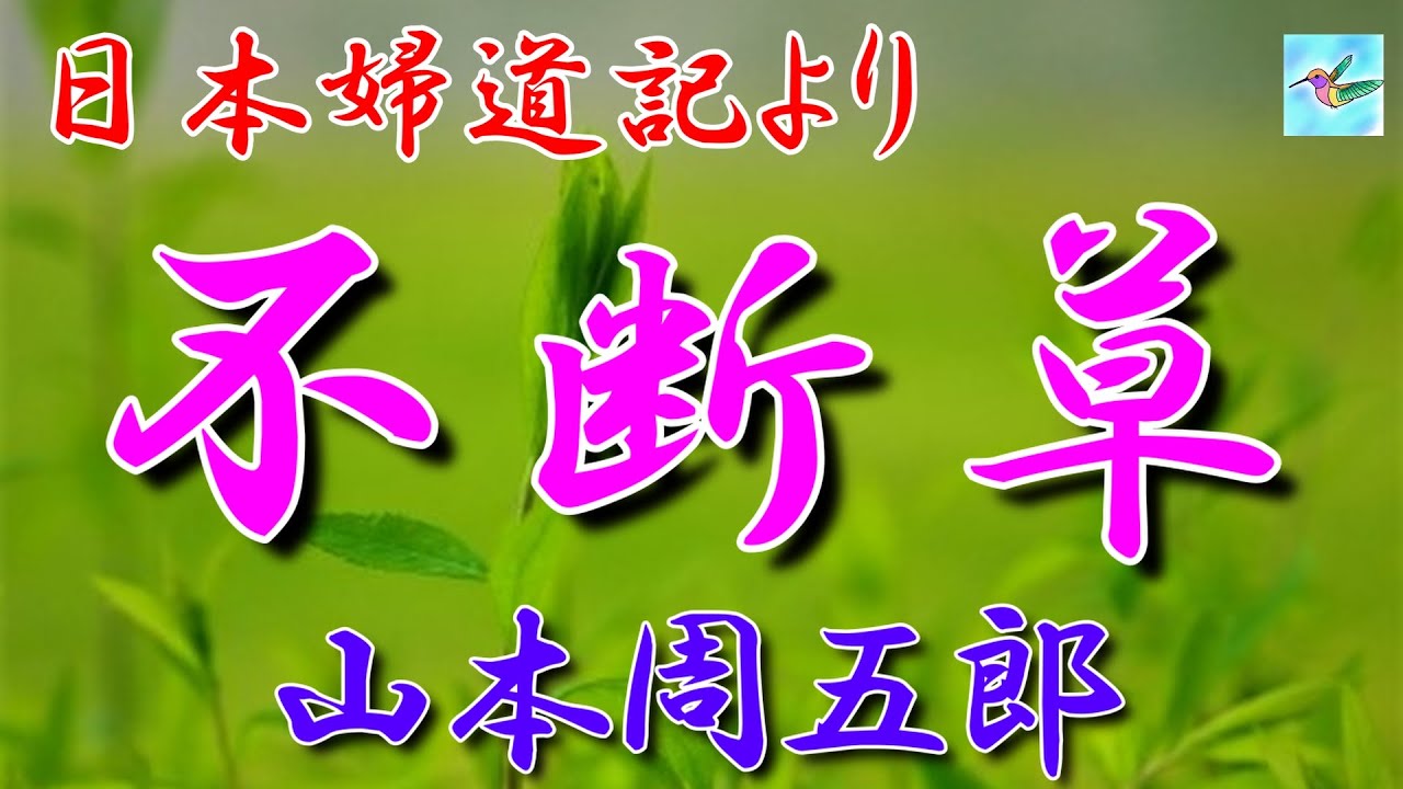 【朗読】日本婦道記「不断草」　山本周五郎　朗読アリア