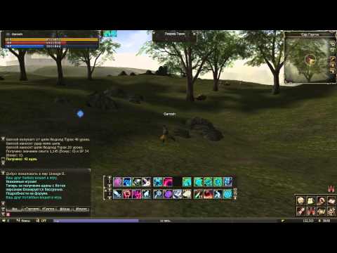 Lineage 2 classic