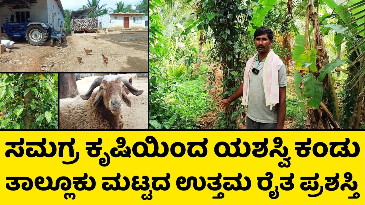 ಸಮಗ್ರ ಕೃಷಿಯಿಂದ ವರ್ಷಕ್ಕೆ 5 ರಿಂದ 8 ಲಕ್ಷ ಆದಾಯ ತಾಲ್ಲೂಕು ಮಟ್ಟದ ಉತ್ತಮ ರೈತ ಪ್ರಶಸ್ತಿ | Samagra krushi
