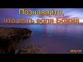 "Познавайте, что есть воля Божия". А. Костенко. МСЦ ЕХБ.