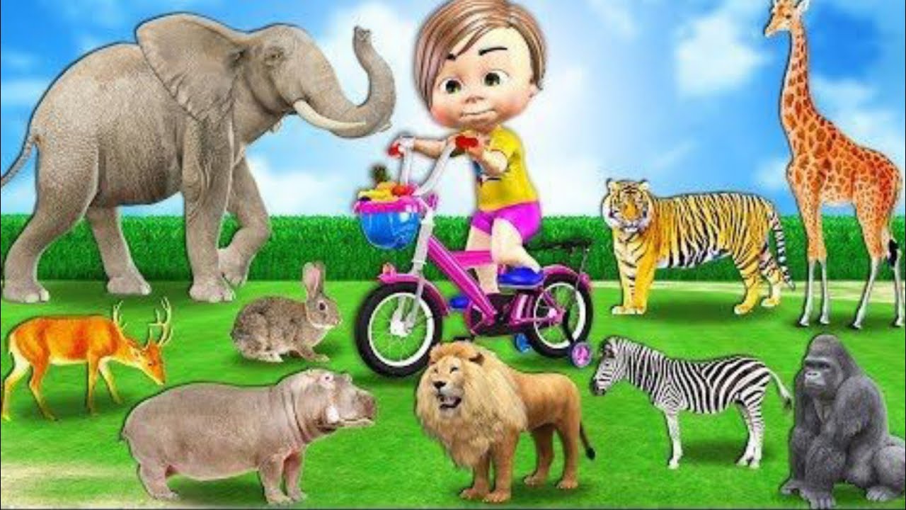 Kids box wild animals