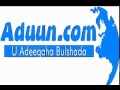 Guurka ajaanibta  soomaalida qurbaha by aduuncom