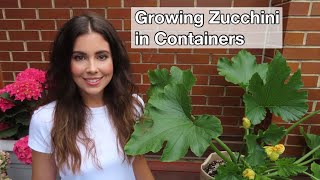 Growing Zucchini in Containers | Container Gardening