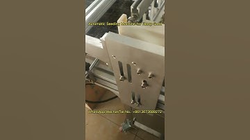 2023 Automatic Seeding Machine for Hemp Seed - Nursery Seedling Machine Price #seedlings