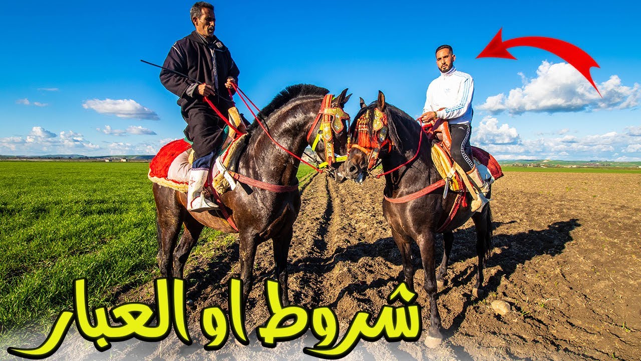 مشيت لمنطقة تكنا سيدي قاسم باش نحضرو لعبار جوج ديال الخيل تشراو من سوق بشروط . اجي تعرف معنى العبار