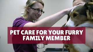 Your Pets Deserve The Best Care Amigo Vet Clinic 2020