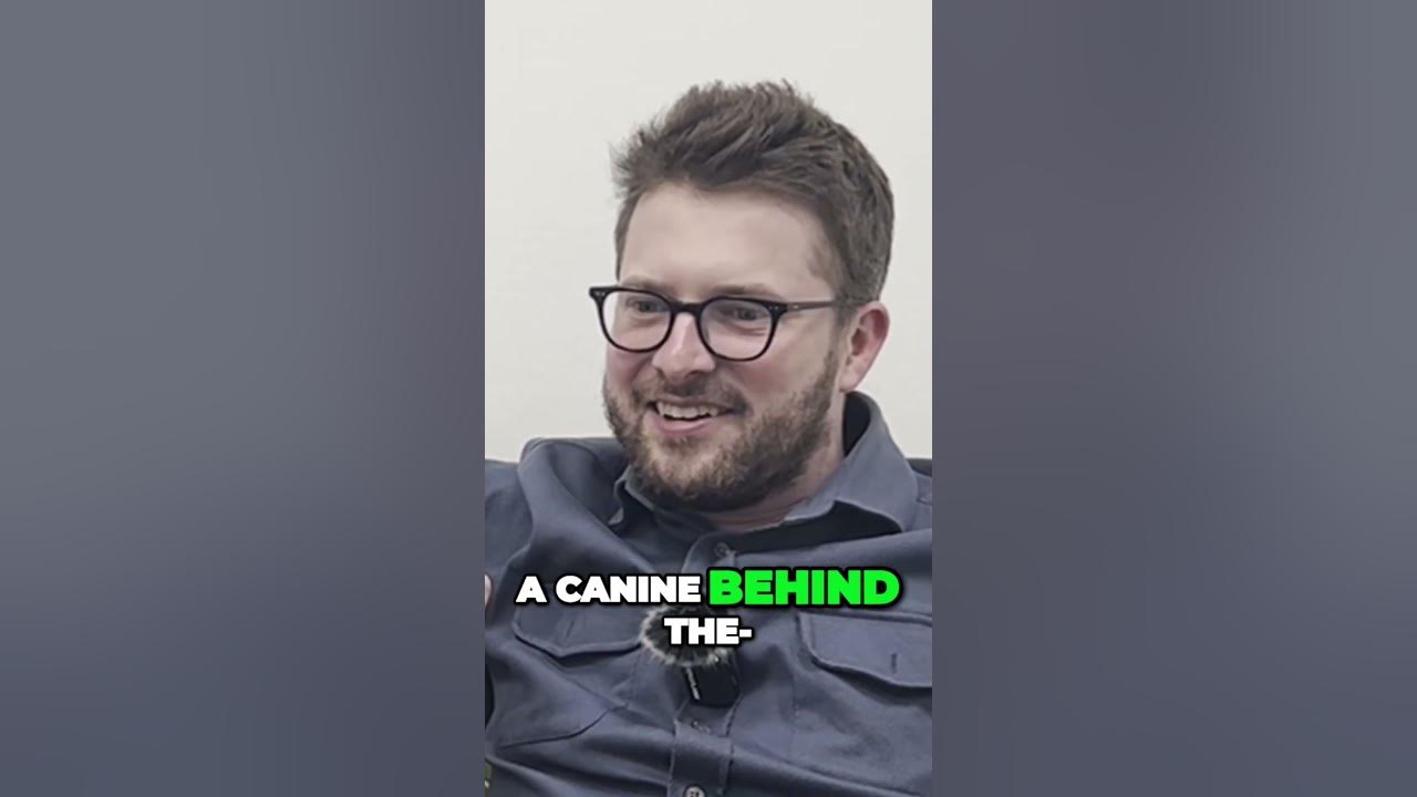 Canine Takes the Wheel Shocks Police in HighSpeed Doggy Drive dogs 