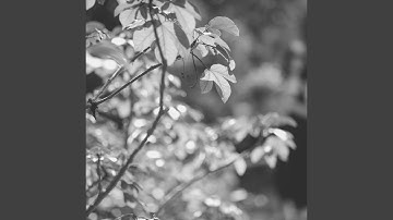 Dashing Music for Mornings