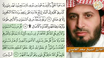 القارئ الشیخ سعد الغامدي سورة الرعد -١٣- ختم القران الكريم