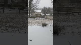 Jan snowstorm // 2025