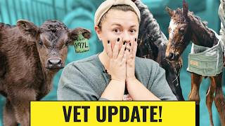 I Put My Vet To The Test! | Vet Day screenshot 4