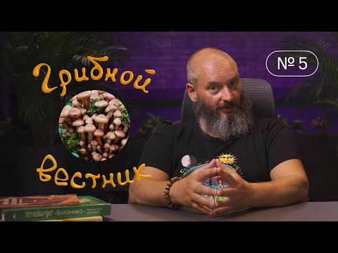 Грибной Вестник №5 | об отваривании; очистка воды грибами; срезать или выкручивать; новое заражение