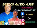 BEST OF MANGO MUZIK LUYHA VIBE DJ STEVE WEBUYE FINEST BEST OF MANGO MUZIK LUYHA VIBE DJ STEVE WEBUYE FINEST