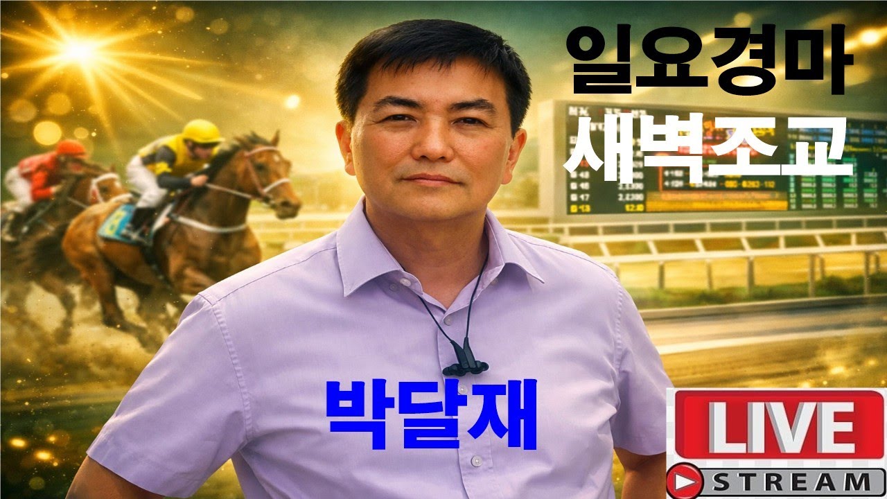 2월15일 일요경마 새벽조교 정밀분석 경마예상 추천마번 복병마  온종일 라이브 방송 서울경마 부경경마 경주분석 추천마번 예상방송 박달재