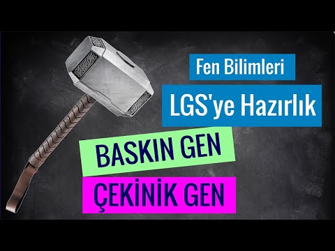 Kalıtımla İlgili Temel Kavramlar - 4 "Baskın(Dominant)Gen vs Çekinik(Resesif)Gen"