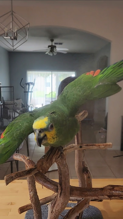 Sunny loves bath time