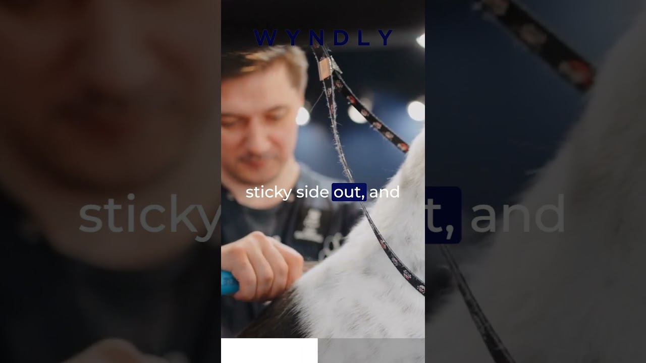 What is the best way to get rid of pet hair on your clothes?