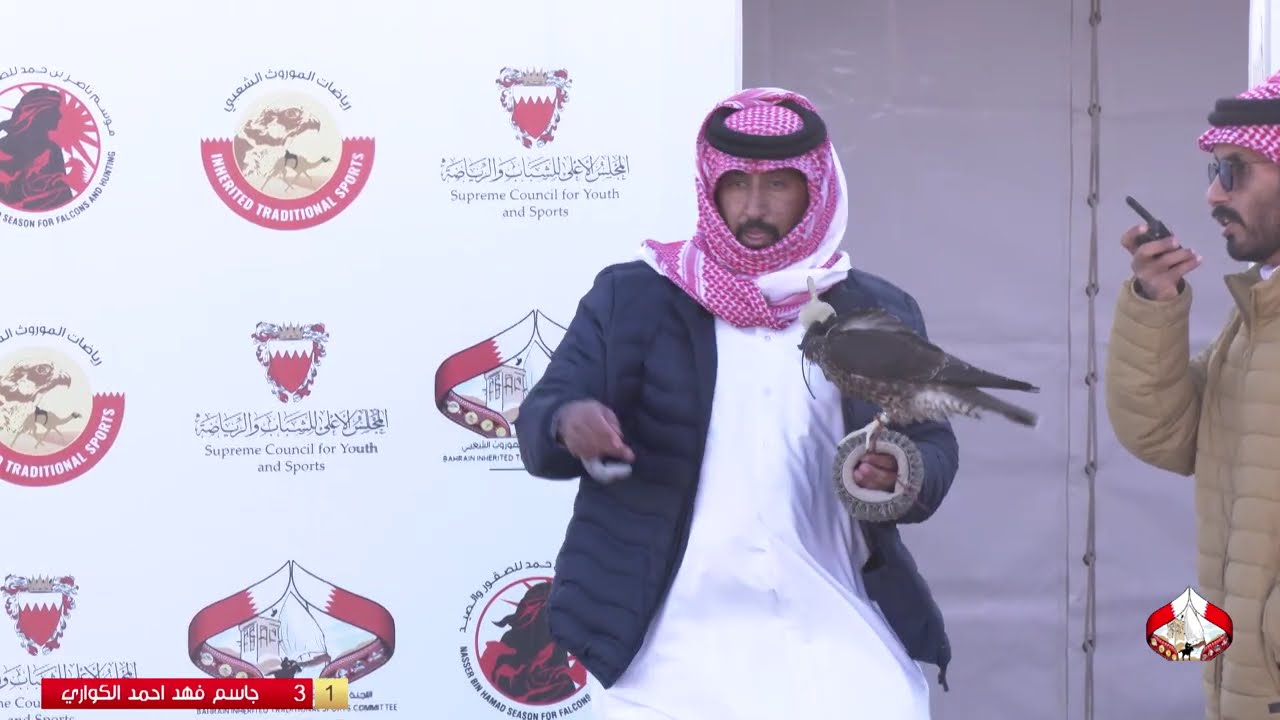 الأشواط الدولية - شوط فروخ الشواهين