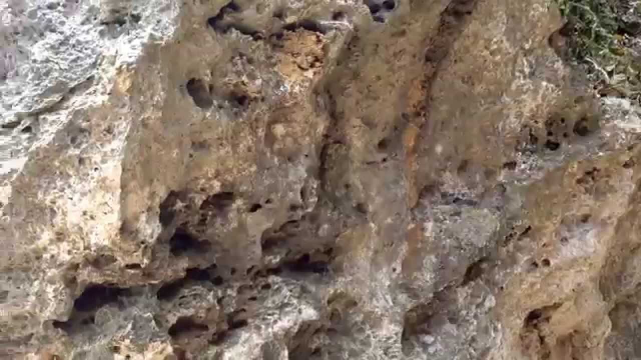 沖縄 新原ビーチ