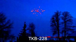 TKB 228
