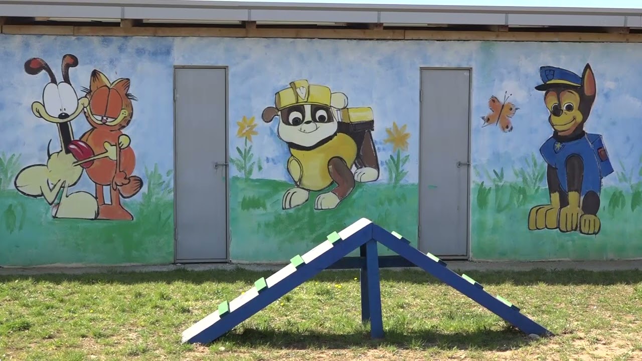 Izjava gradonačelnika dr Ivana Vukovića, Podgorica dobila pansion za pse