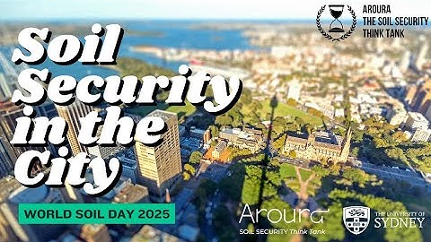 World Soil Day 2025: Soil Security in the City