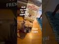 ROYAL CANIN HUGE BAG OF DOG FOOD SO MUCH FOOD FOR MY FRENCHIE #frenchie #royalcanin #frenchbulldog