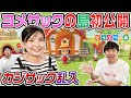 【あつ森】ヨメサックの島"せんはる島"を紹介してもらいました #7