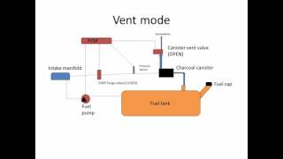 6Speed's Lectures: How your EVAP system works